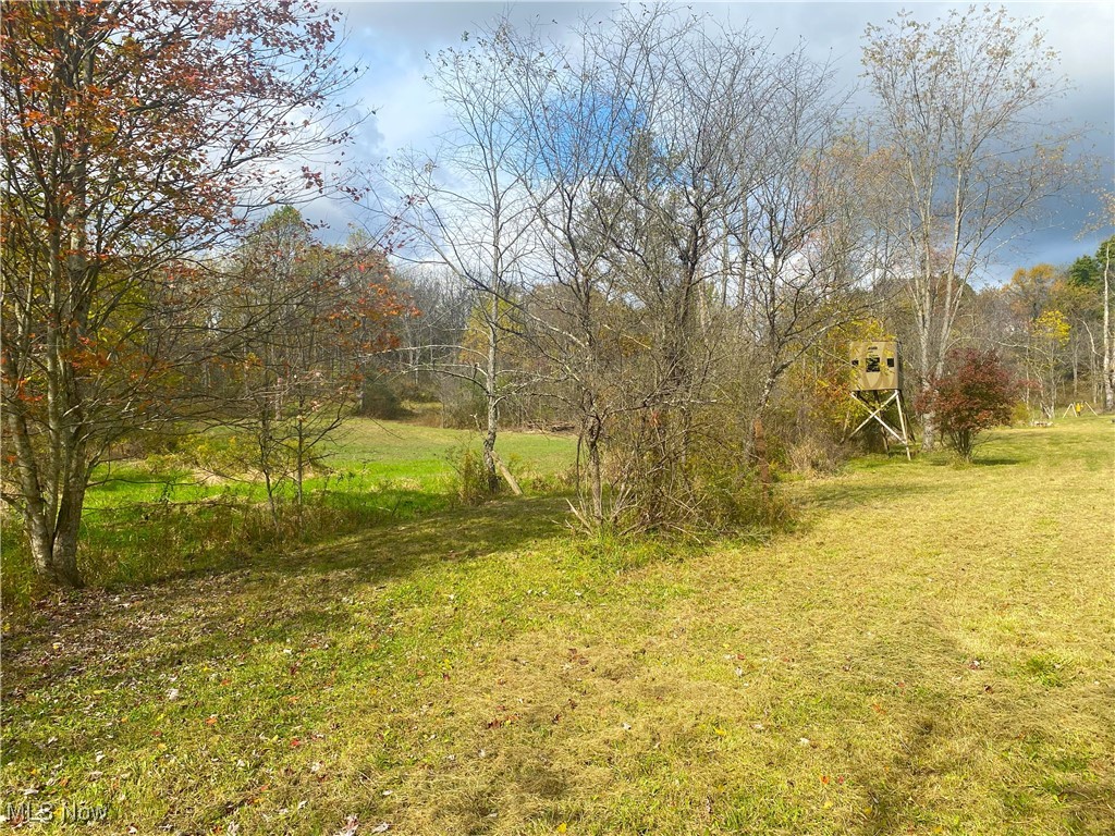 Toker Road, Hopedale, Ohio image 1