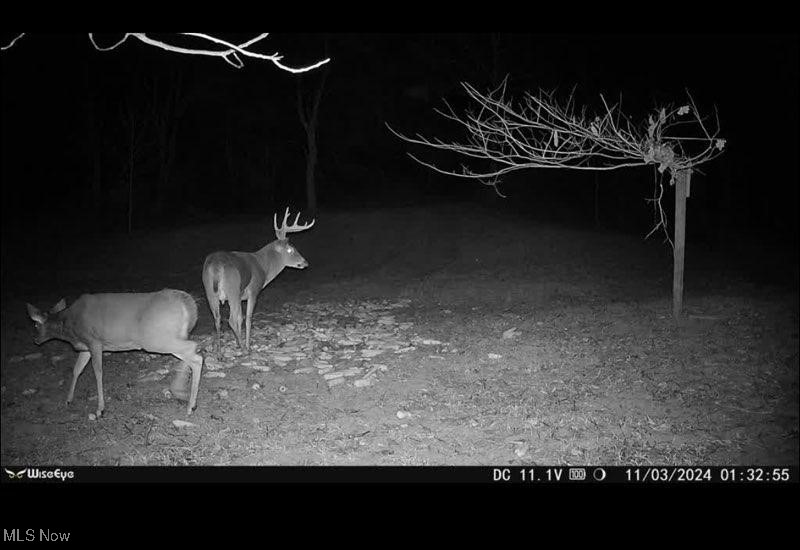 Toker Road, Hopedale, Ohio image 28