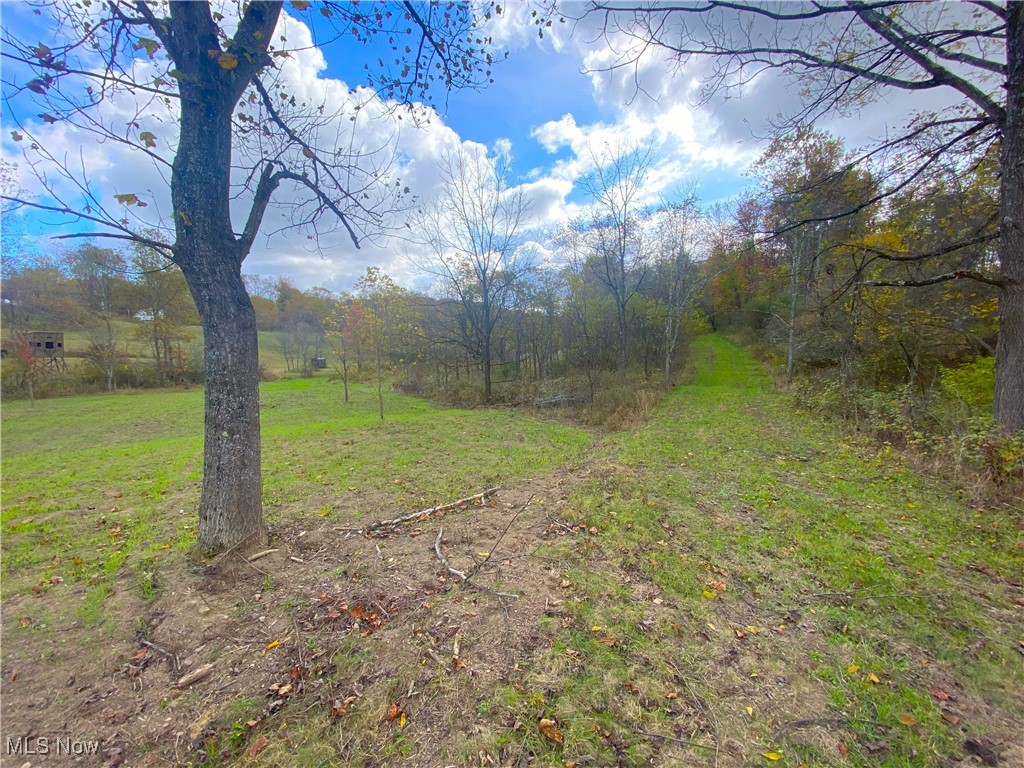 Toker Road, Hopedale, Ohio image 8