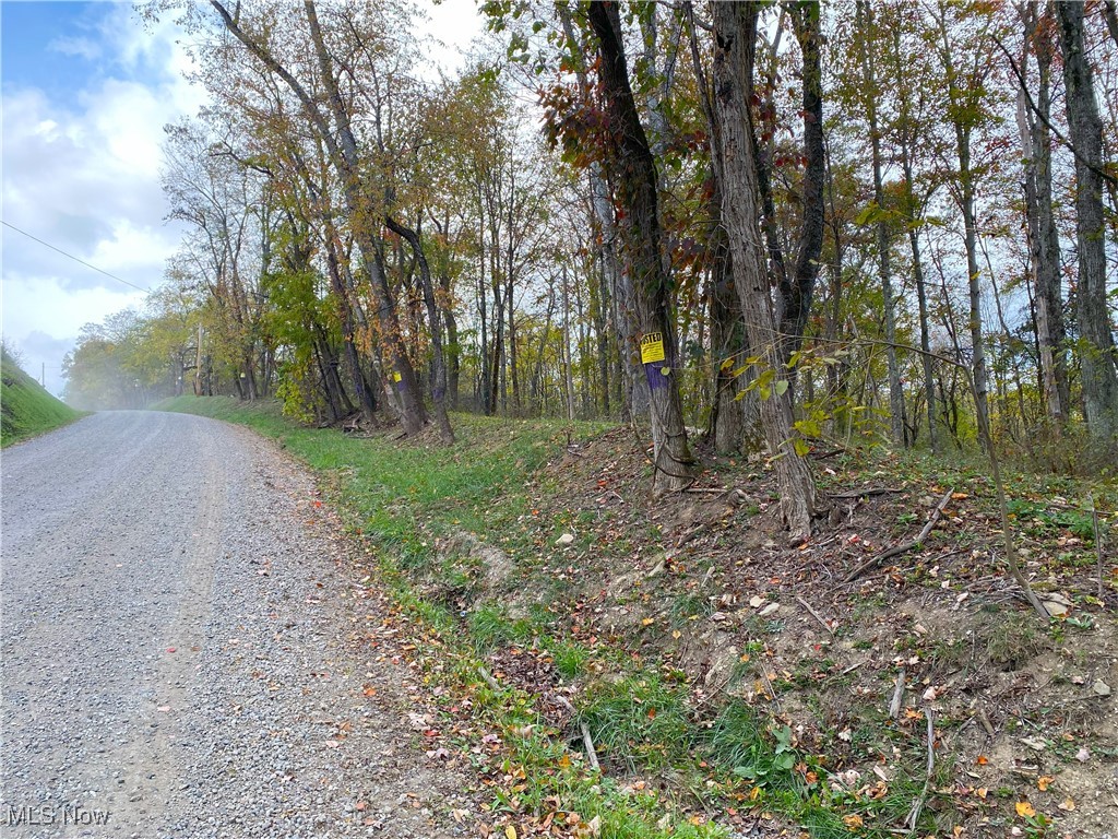 Toker Road, Hopedale, Ohio image 18