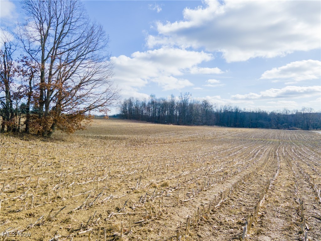 County Road 160, Millersburg, Ohio image 16