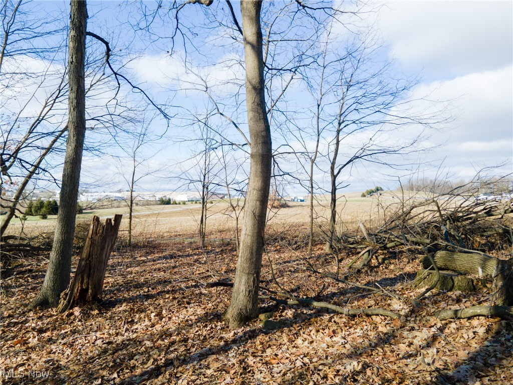 County Road 160, Millersburg, Ohio image 37