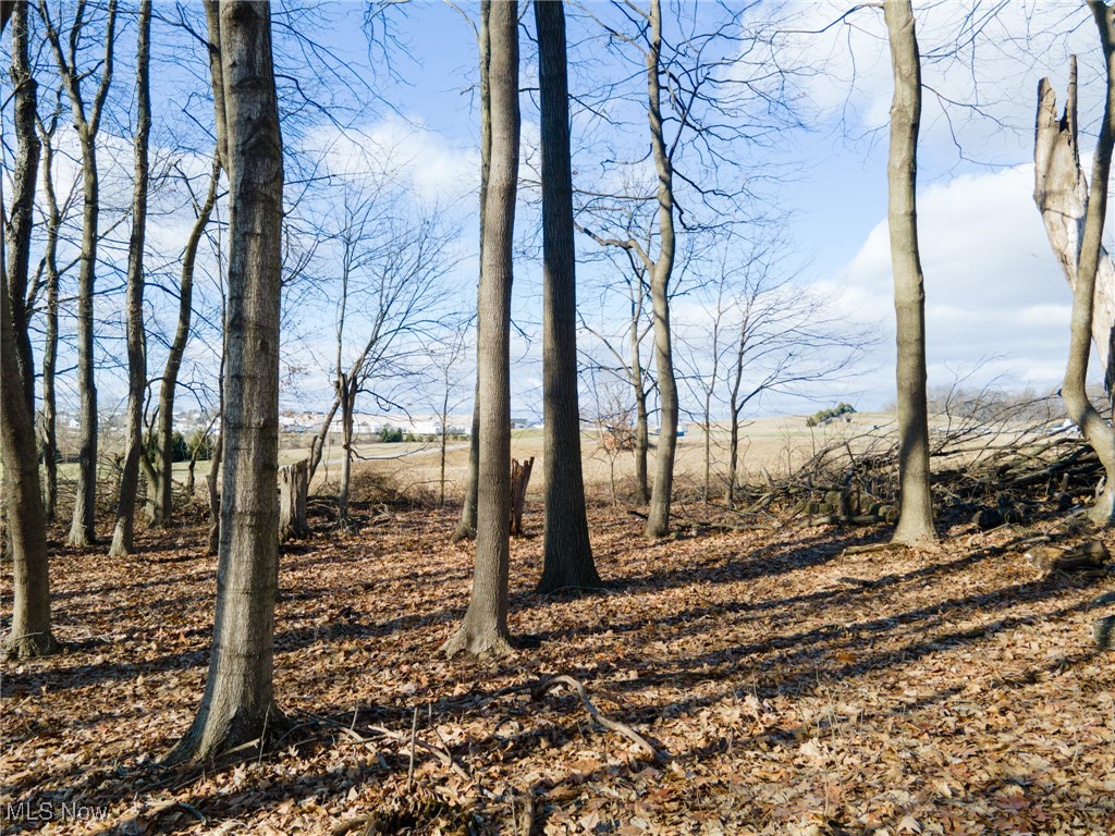 County Road 160, Millersburg, Ohio image 36