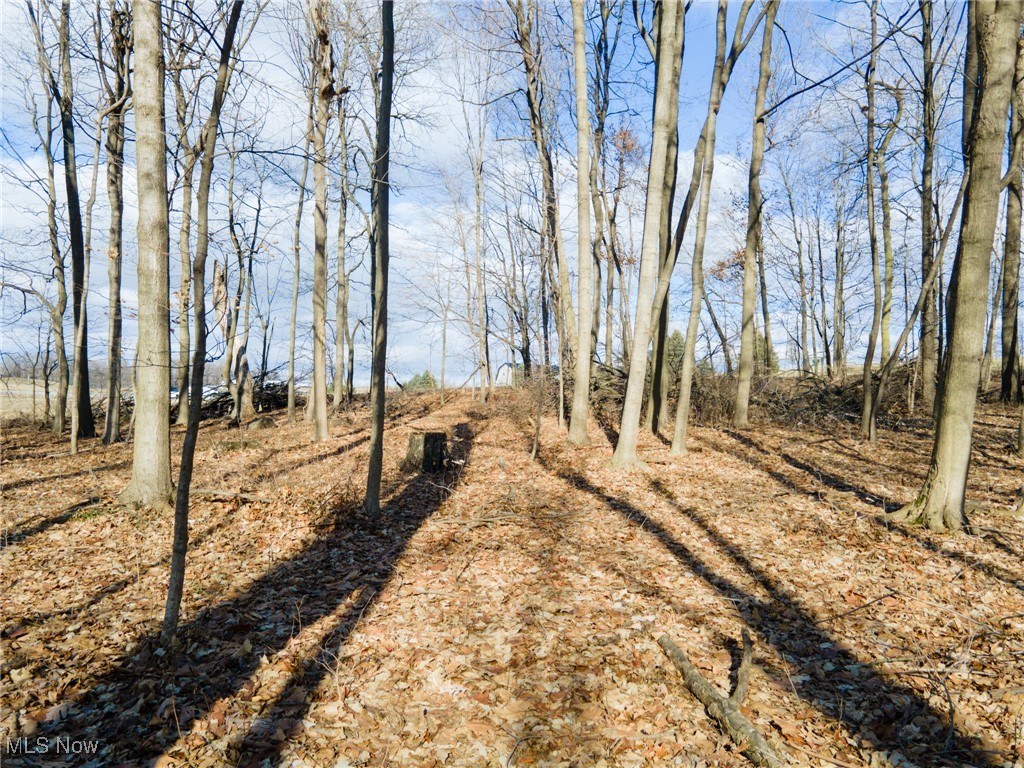 County Road 160, Millersburg, Ohio image 34