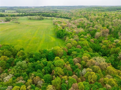 Vacant Land For Sale - St. Rt. 644<br/> Salineville, OH 43945