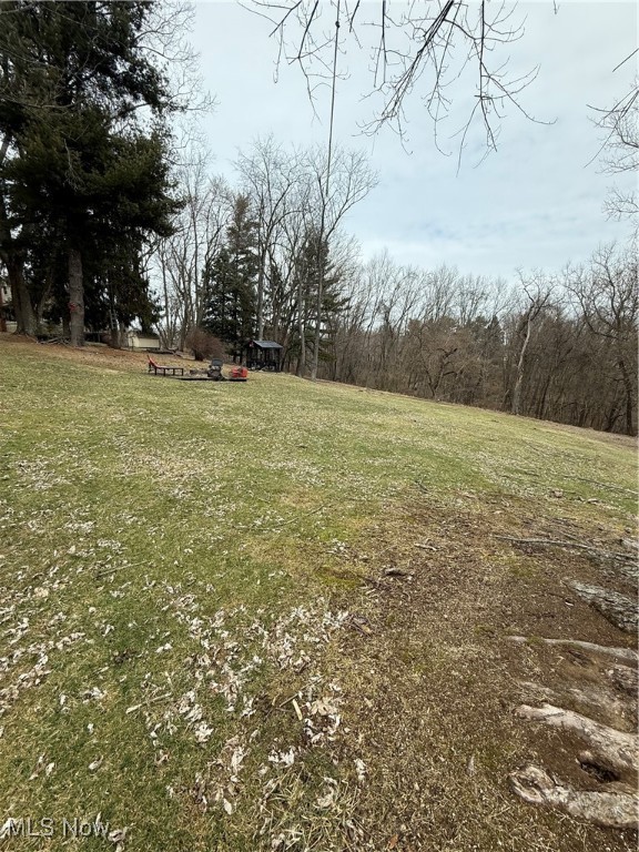 130 Wood Street, Flushing, Ohio image 7