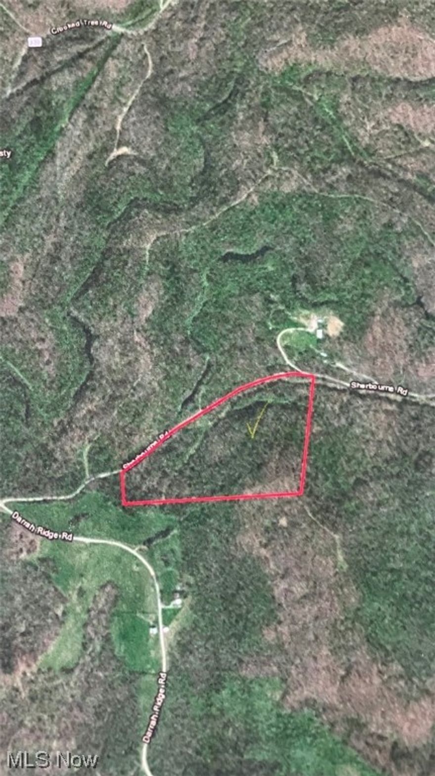 25 acres of a 60.5 acre  AEP parcel, subject to final survey results. Price per acre is $2,800 per acre based on new survey acreage.  Oil and gas rights are not included and will not transfer to buyer.  The rest of the parcel is priced at $2,700 per acre and is roughly 35.5 acres and subject to new survey. Each acreage has its own entrance on Sherbourne Road.