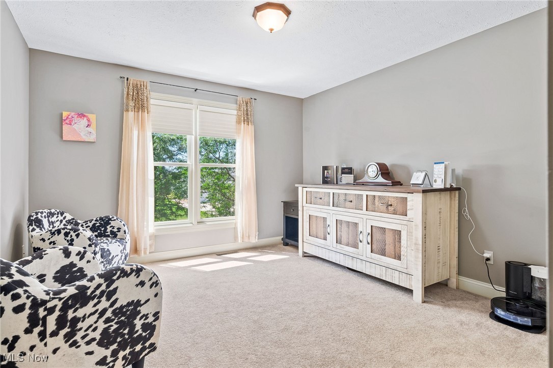 3089 Blue Heron Trce, Medina, Ohio image 31