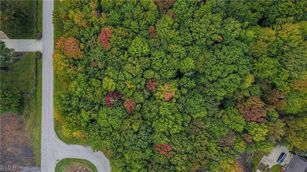 VL Red Oak Circle, Conneaut, Ohio image 8