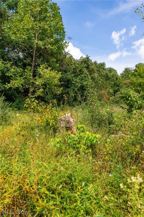 Tiny photo for 27339 Tabor Ridge Road #2, Caldwell, OH 43724 (MLS # 5245505)