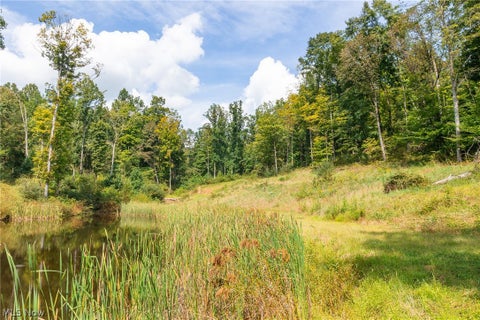 Tiny photo for 27339 Tabor Ridge Road #2, Caldwell, OH 43724 (MLS # 5245505)