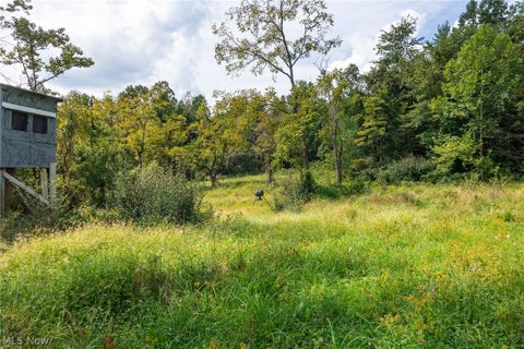 Tiny photo for 27339 Tabor Ridge Road #2, Caldwell, OH 43724 (MLS # 5245505)