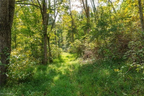 Tiny photo for 27339 Tabor Ridge Road #2, Caldwell, OH 43724 (MLS # 5245505)