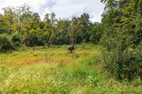 Tiny photo for 27339 Tabor Ridge Road #2, Caldwell, OH 43724 (MLS # 5245505)
