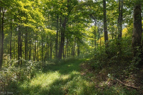 Tiny photo for 27339 Tabor Ridge Road #2, Caldwell, OH 43724 (MLS # 5245505)