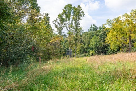 Tiny photo for 27339 Tabor Ridge Road #2, Caldwell, OH 43724 (MLS # 5245505)