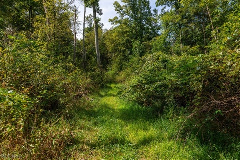 Tiny photo for 27339 Tabor Ridge Road #2, Caldwell, OH 43724 (MLS # 5245505)