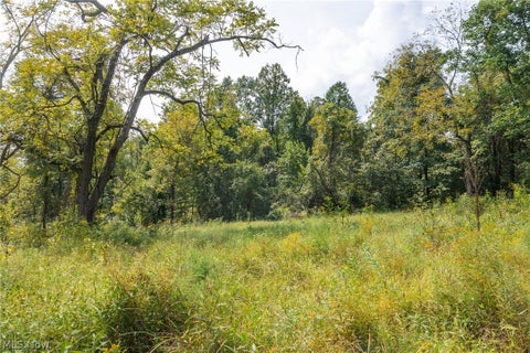 Tiny photo for 27339 Tabor Ridge Road #2, Caldwell, OH 43724 (MLS # 5245505)