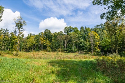 Tiny photo for 27339 Tabor Ridge Road #2, Caldwell, OH 43724 (MLS # 5245505)