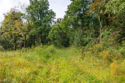 Tiny photo for 27339 Tabor Ridge Road #2, Caldwell, OH 43724 (MLS # 5245505)