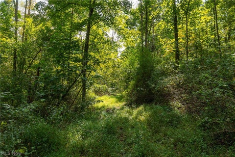 Tiny photo for 27339 Tabor Ridge Road #2, Caldwell, OH 43724 (MLS # 5245505)