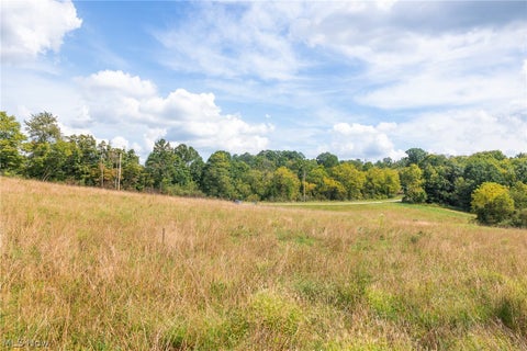 Tiny photo for 27339 Tabor Ridge Road #2, Caldwell, OH 43724 (MLS # 5245505)