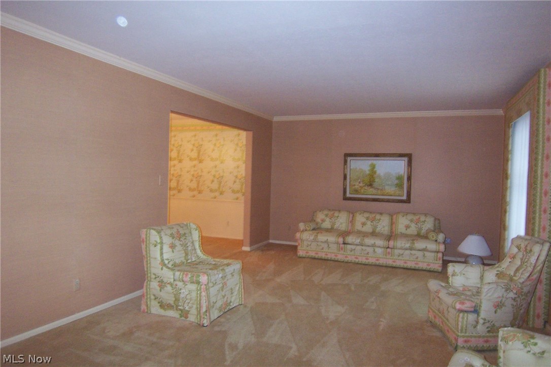 Tallmadge Woods - Residential