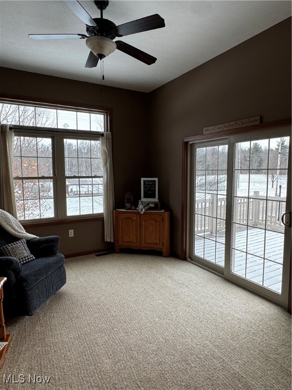 Fire Rdg Allotment - Residential