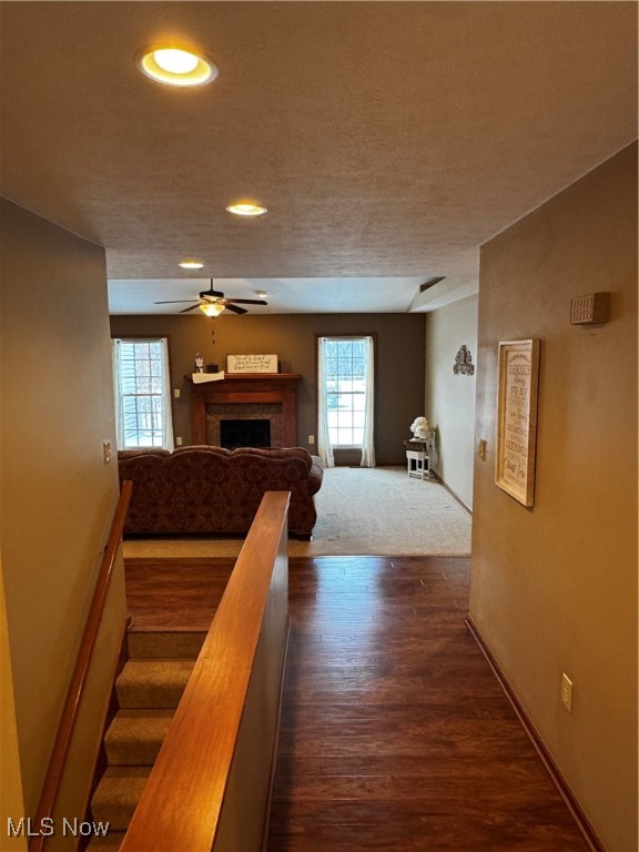 Fire Rdg Allotment - Residential