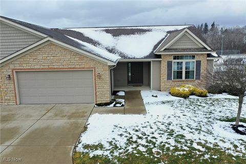 Homes For Sale - 602 Whitetail Xing<br/> Holmes County, Millersburg, OH 44654