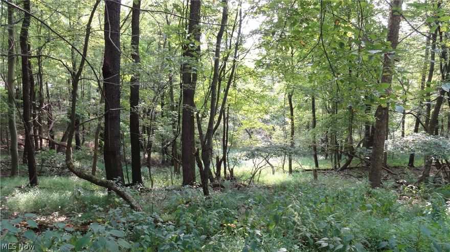 Rare large lot in Hidden Woods area.  3 acres waiting for your dream home to be built.  Perfect location for Chalet.