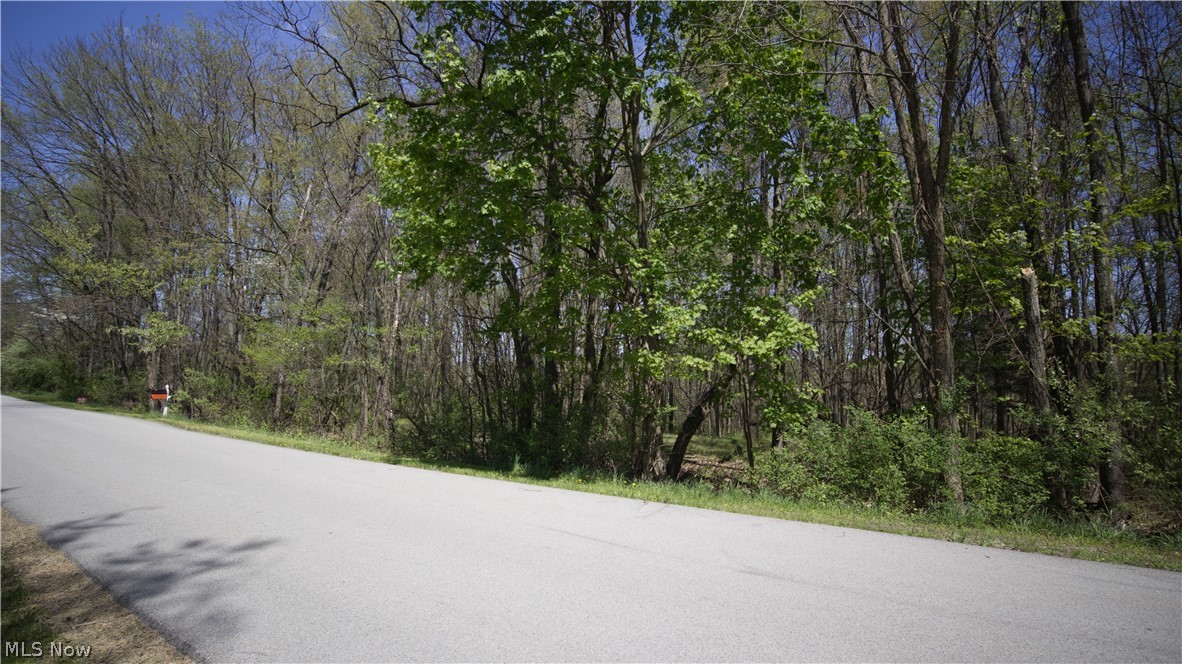 Mohican Trail