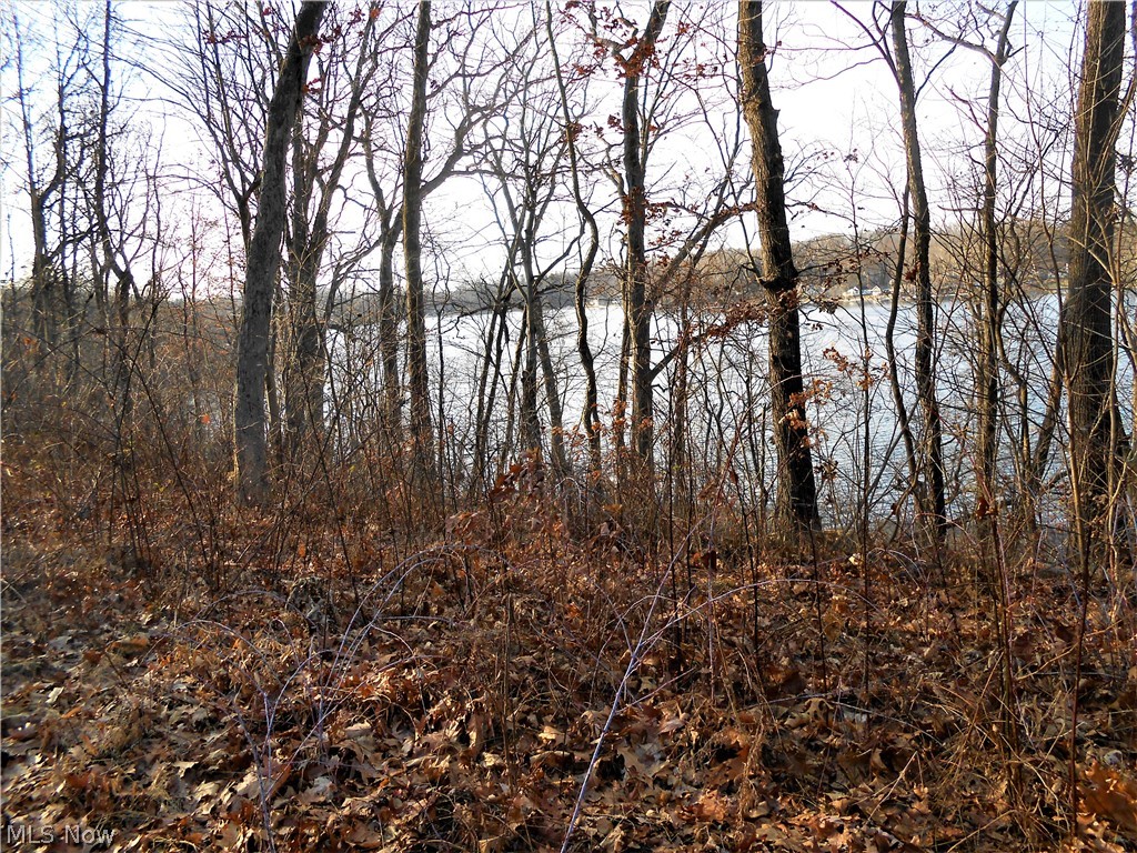 Brady Lake Park Allotment - Land