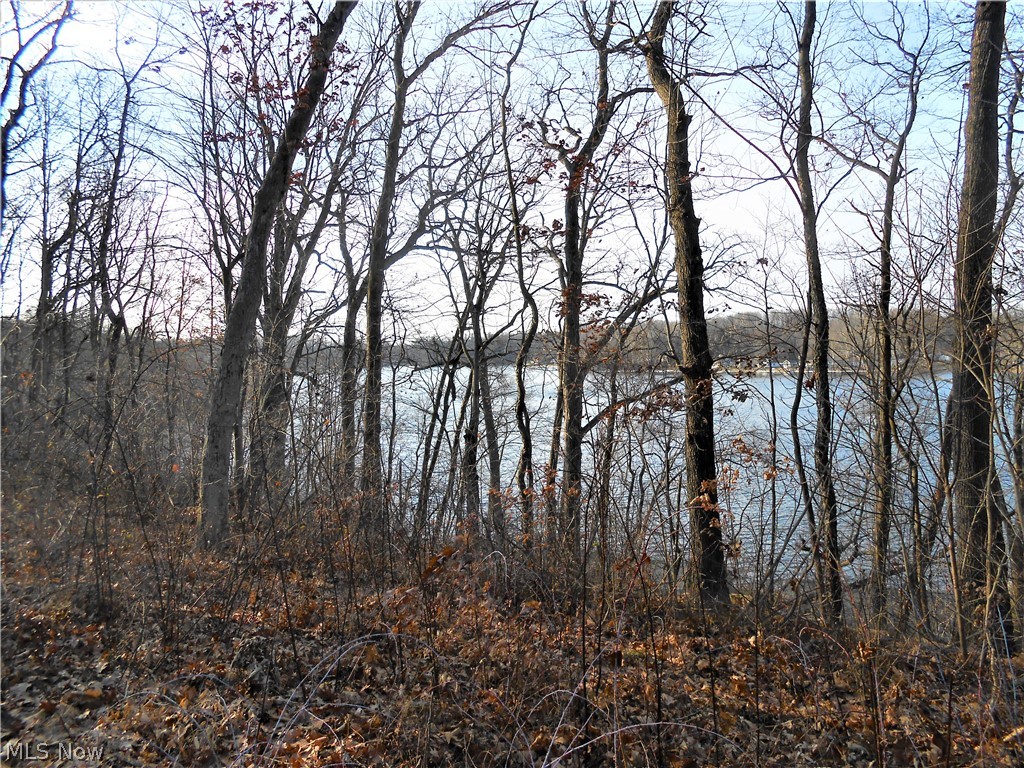 Brady Lake Park Allotment - Land