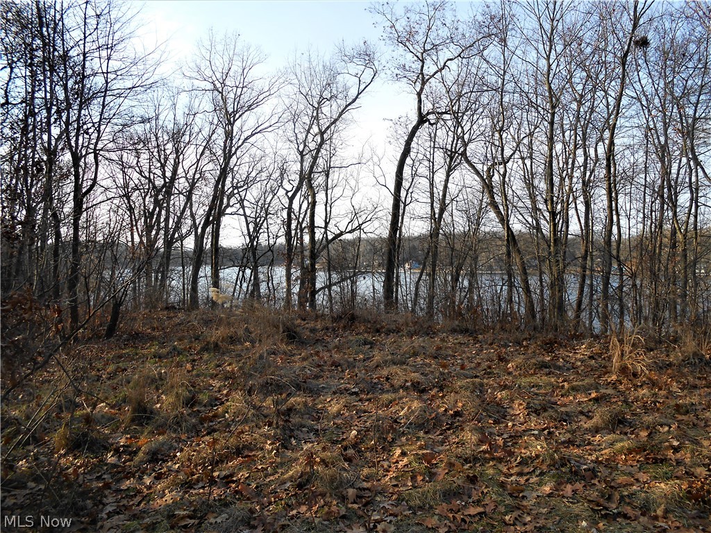 Brady Lake Park Allotment - Land
