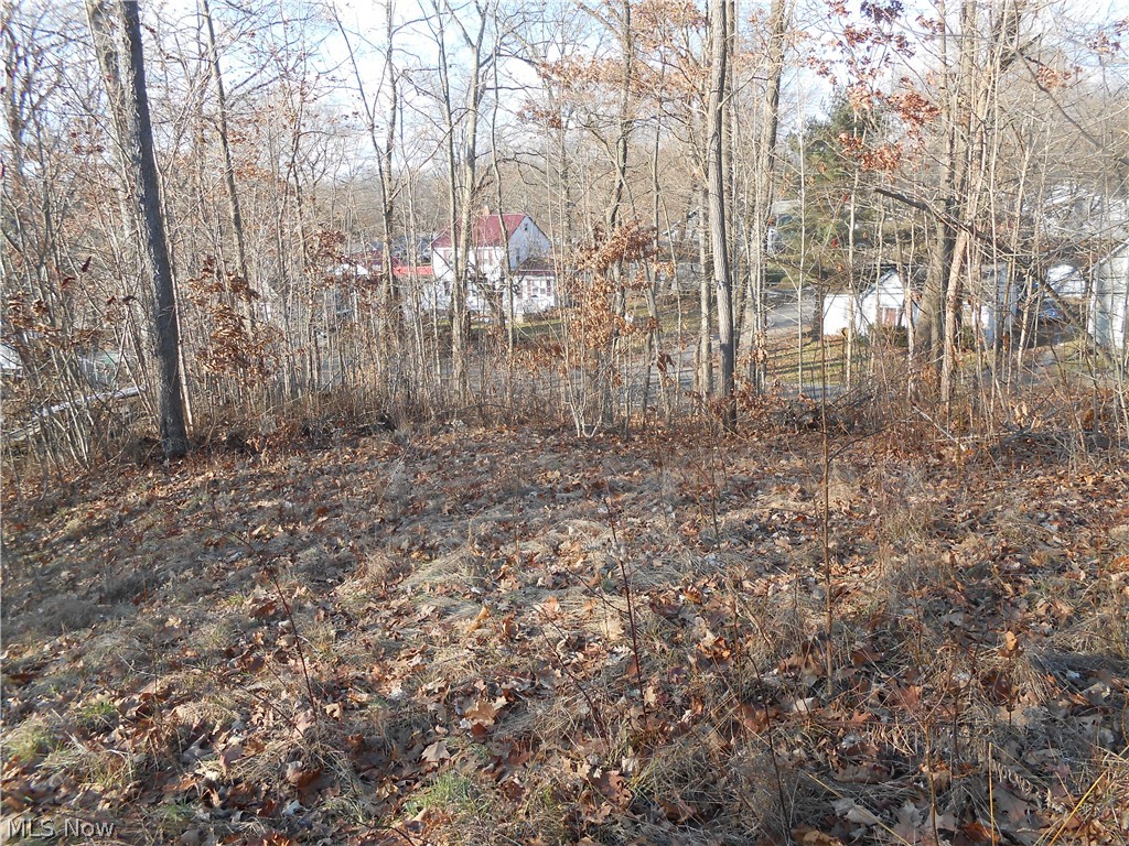 Brady Lake Park Allotment - Land