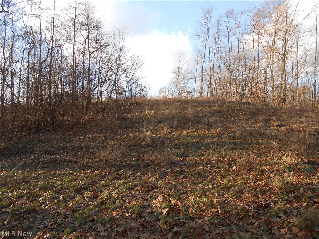 Brady Lake Park Allotment - Land