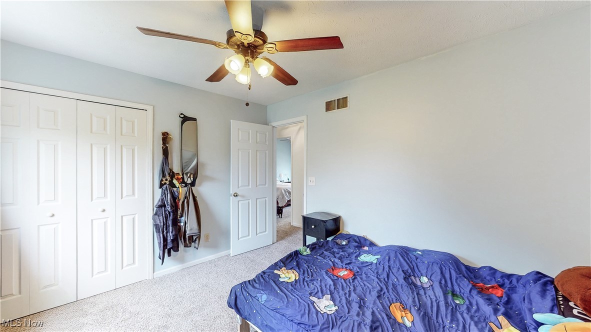 793 Fronek Drive, Streetsboro, Ohio image 22