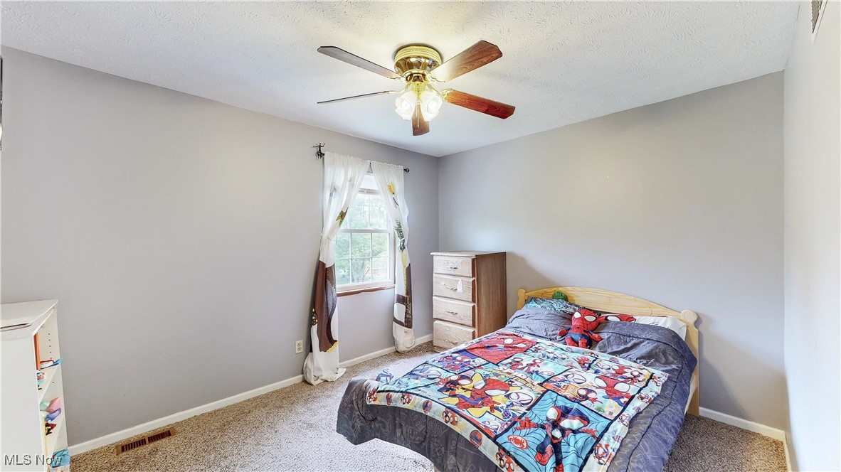 793 Fronek Drive, Streetsboro, Ohio image 24