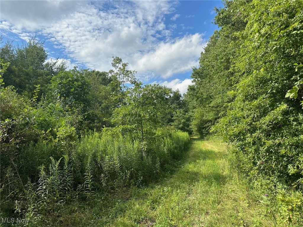 10531 State Route 305, Southington, Ohio image 9