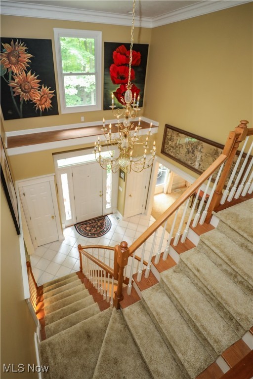 Duneden - Residential