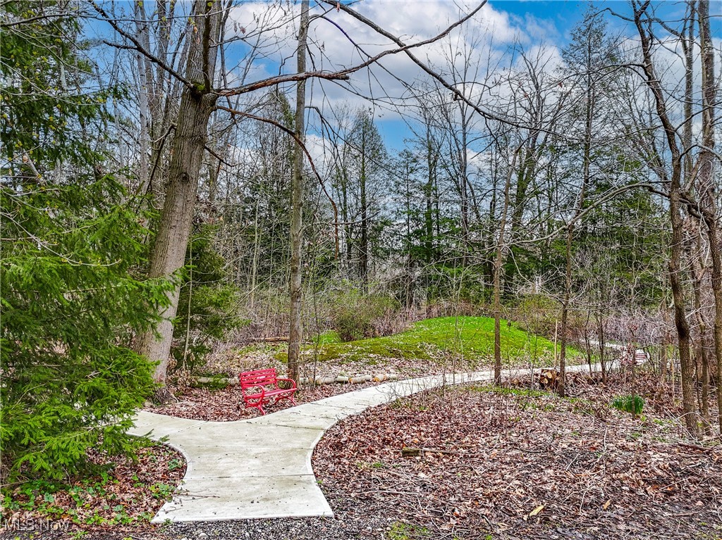10461 Wye Road, Chesterland, Ohio image 4