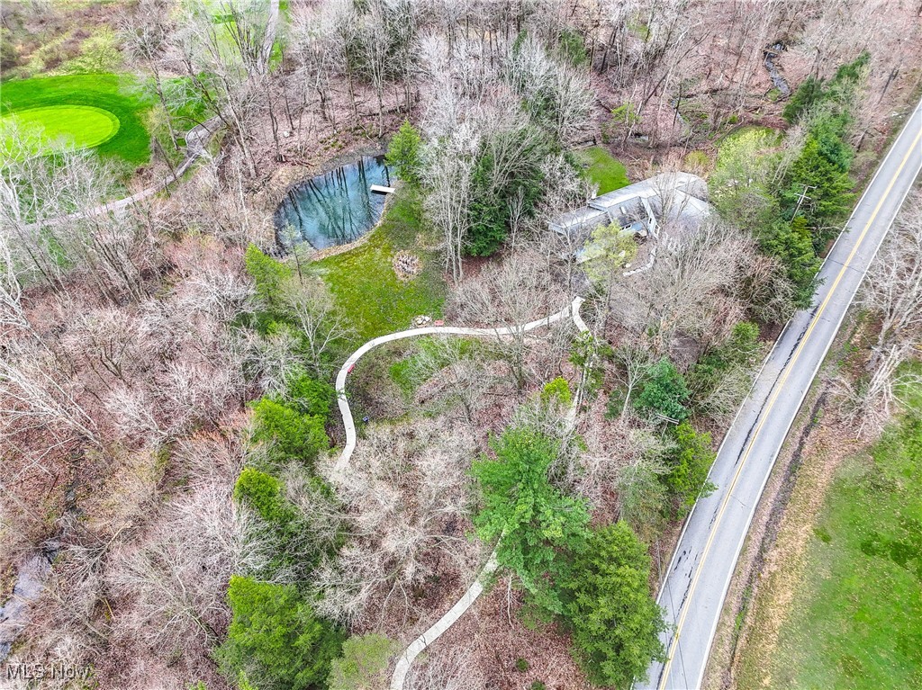 10461 Wye Road, Chesterland, Ohio image 10