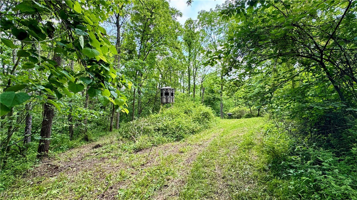 Rider Road, Roseville, Ohio image 15