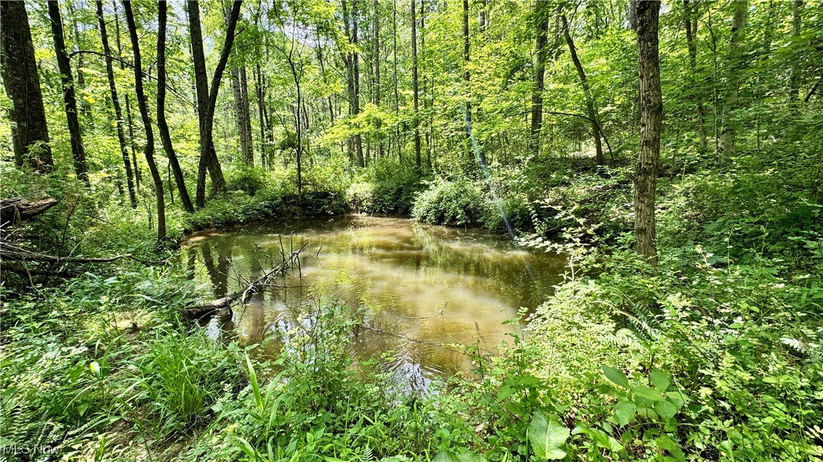 Rider Road, Roseville, Ohio image 22