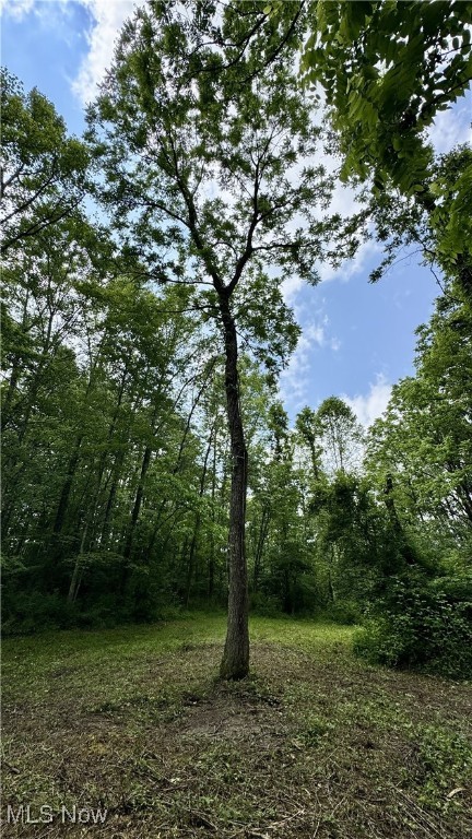 Rider Road, Roseville, Ohio image 20