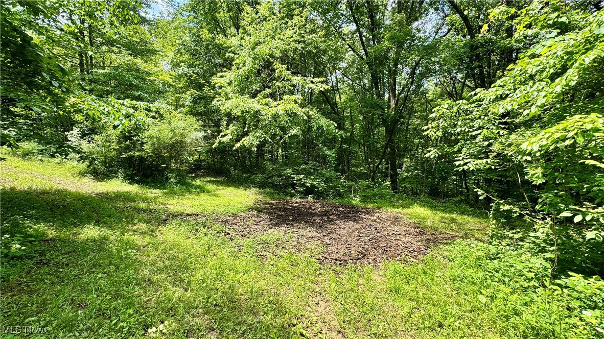 Rider Road, Roseville, Ohio image 14