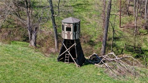 Tiny photo for Ragersville Road, Baltic, OH 43804 (MLS # 5203073)