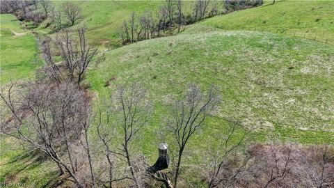 Tiny photo for Ragersville Road, Baltic, OH 43804 (MLS # 5203073)