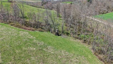 Tiny photo for Ragersville Road, Baltic, OH 43804 (MLS # 5203073)